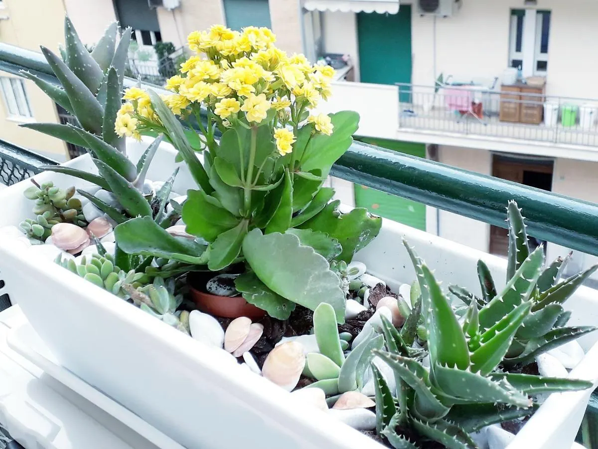 Frühstückspension Insula B&B Cagliari